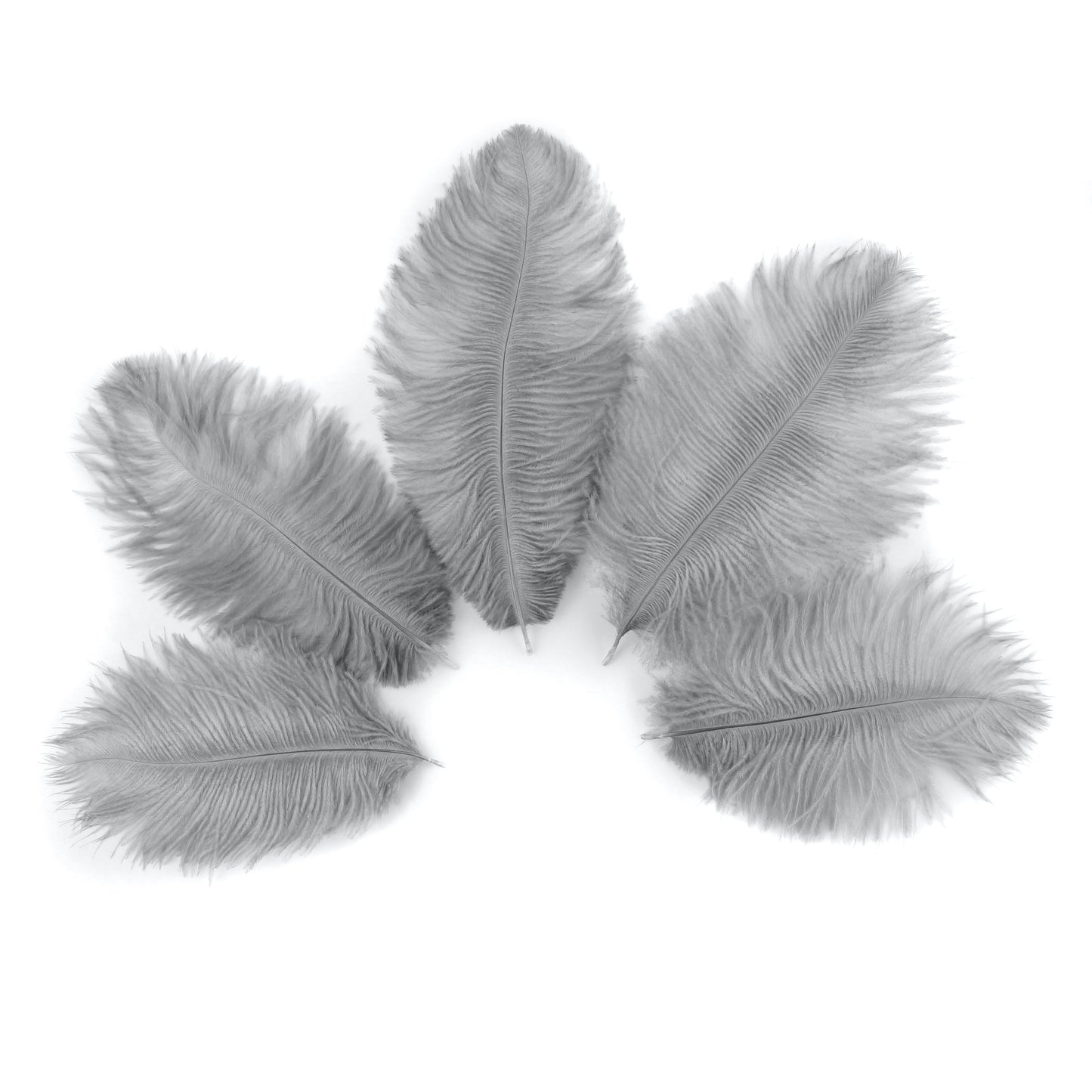 Ostrich Feathers 4-8" Drabs - Silver