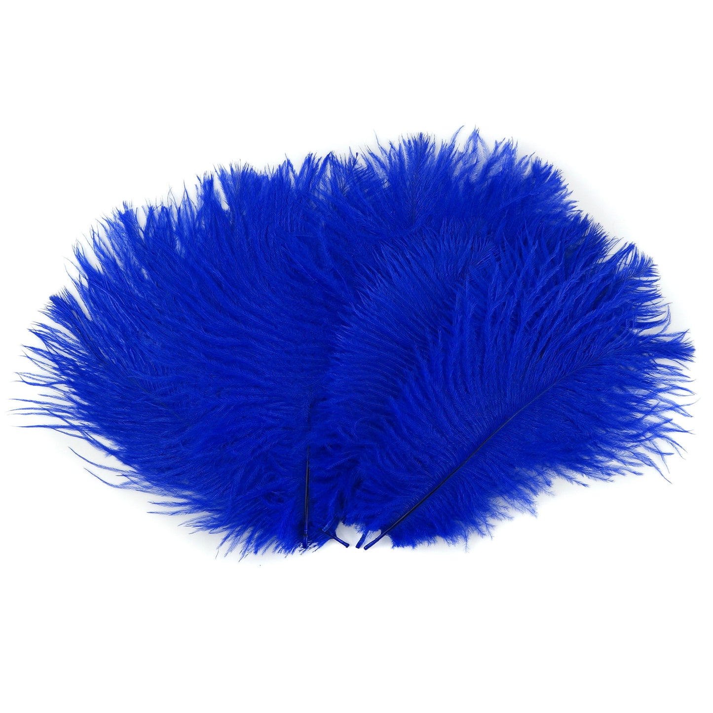 Ostrich Feathers 4-8" Drabs - Royal