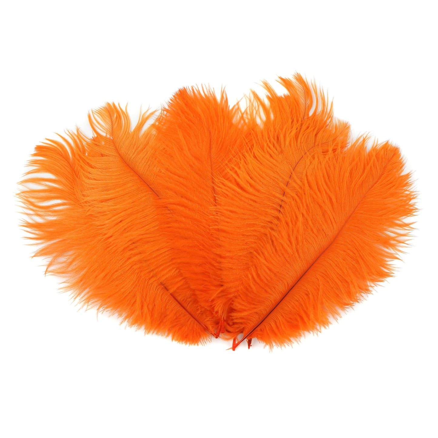 Ostrich Feathers 4-8" Drabs - Orange