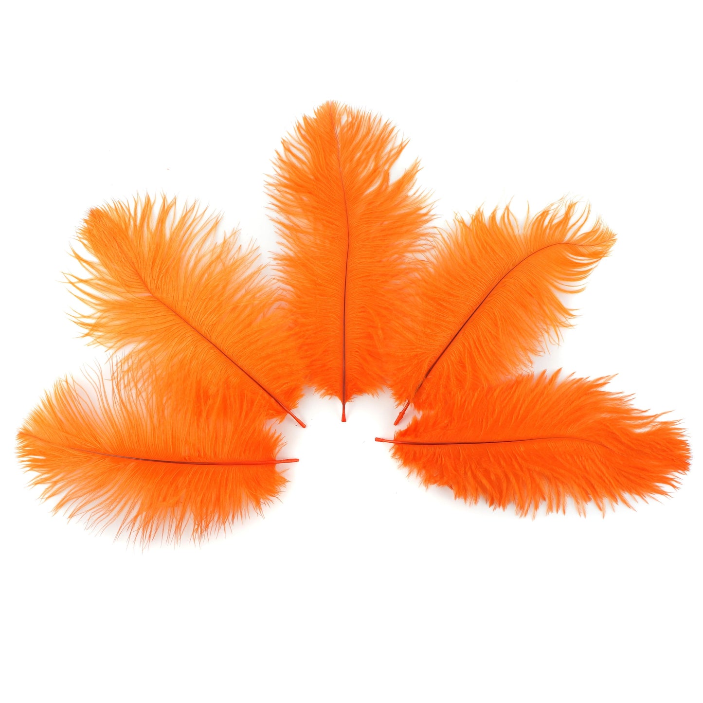 Ostrich Feathers 4-8" Drabs - Orange