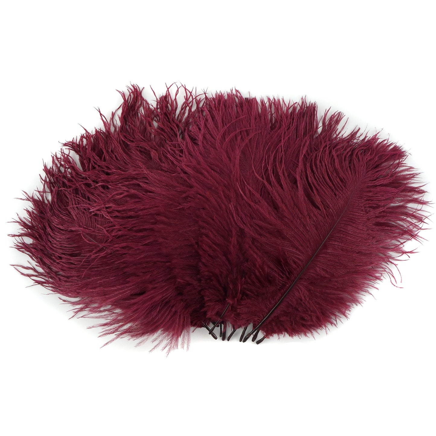 Ostrich Feathers 4-8" Drabs - Burgundy