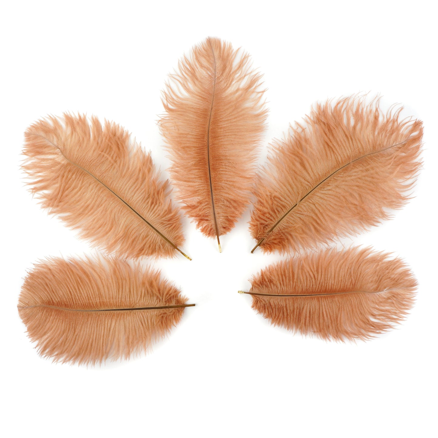 Ostrich Feathers 9-12" Drabs -  Cinnamon