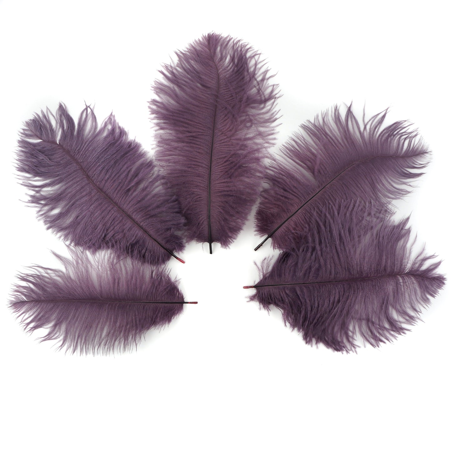 Ostrich Feathers 9-12" Drabs -  Amethyst