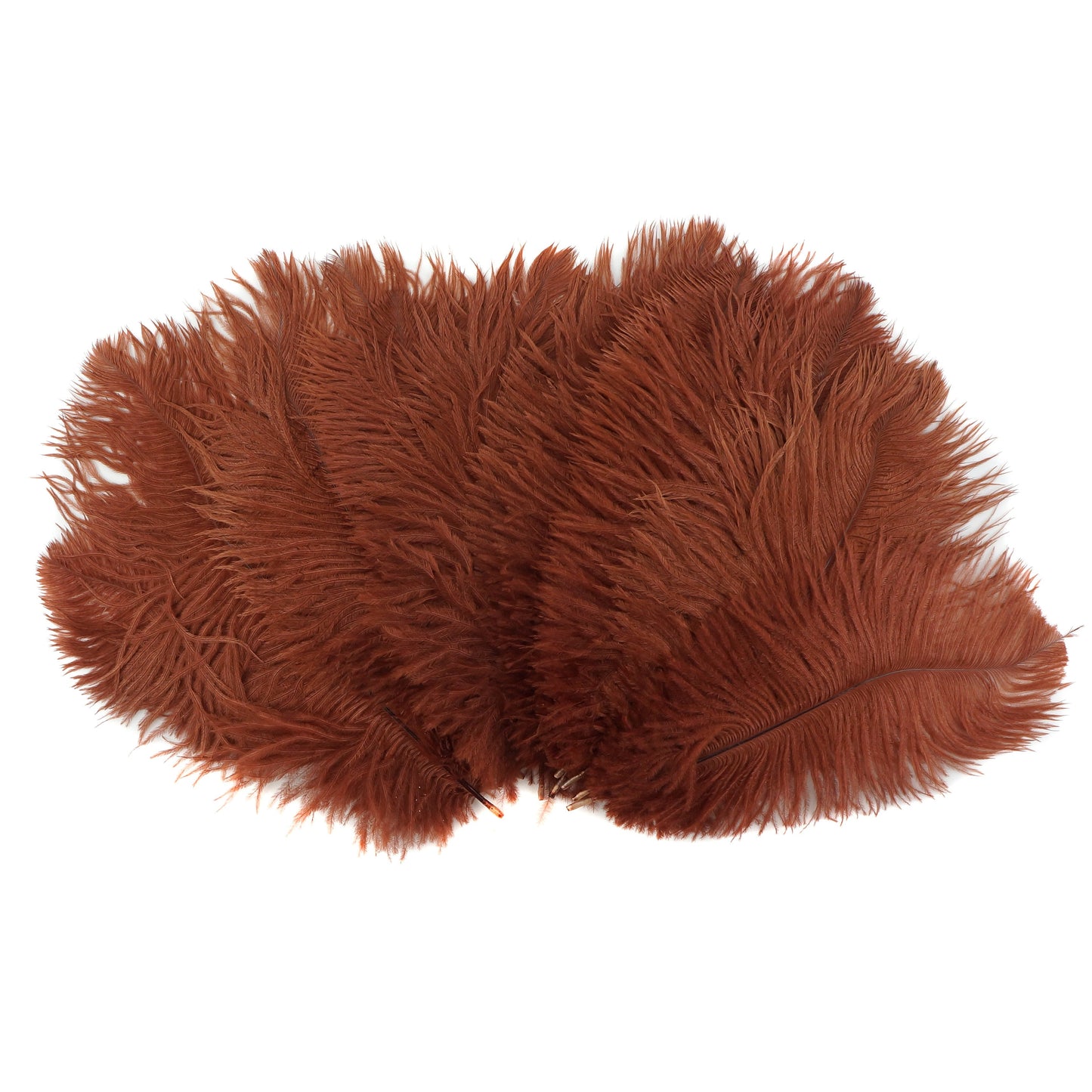 Ostrich Feathers 9-12" Drabs - Copper