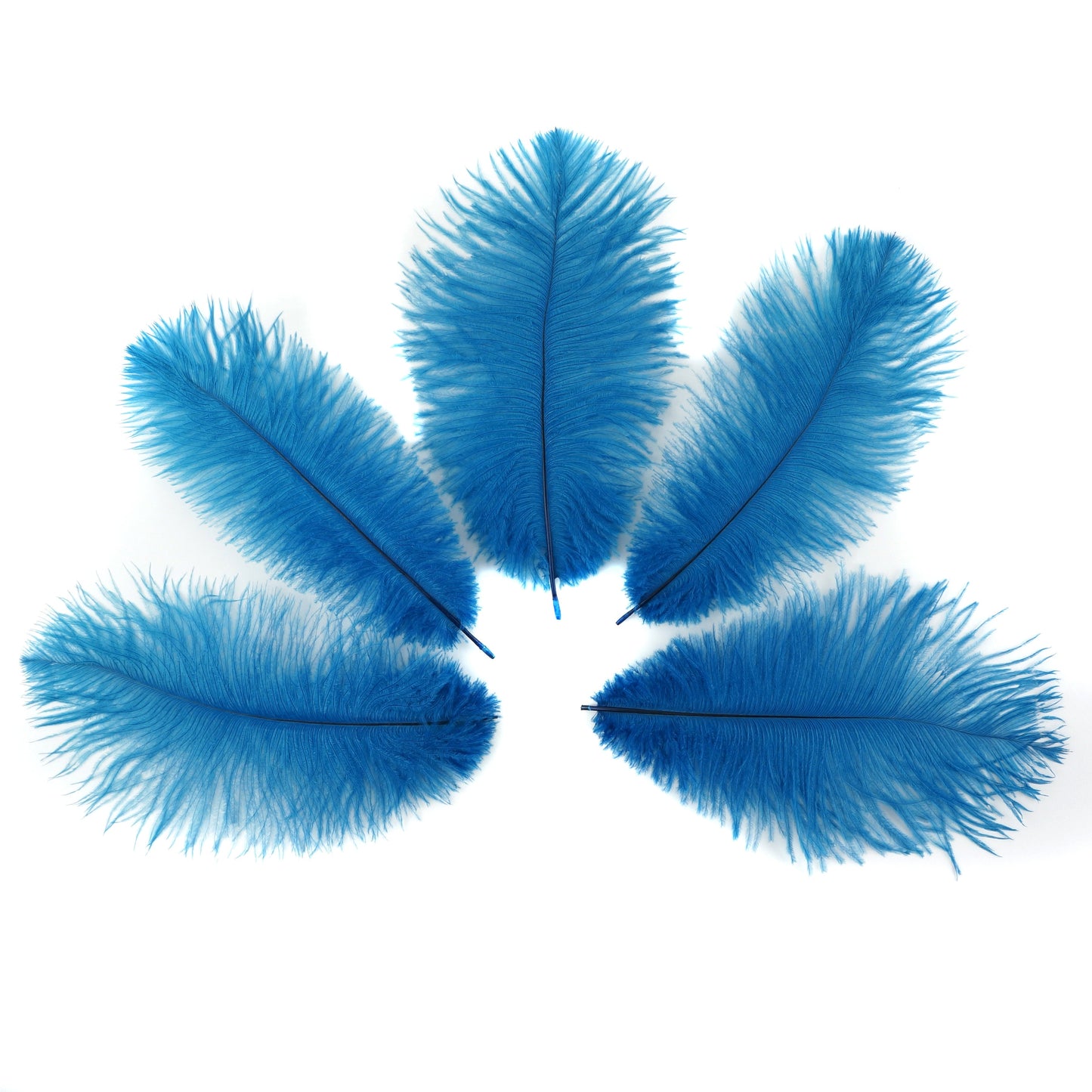 Ostrich Feathers 9-12" Drabs -  Dark Turquoise