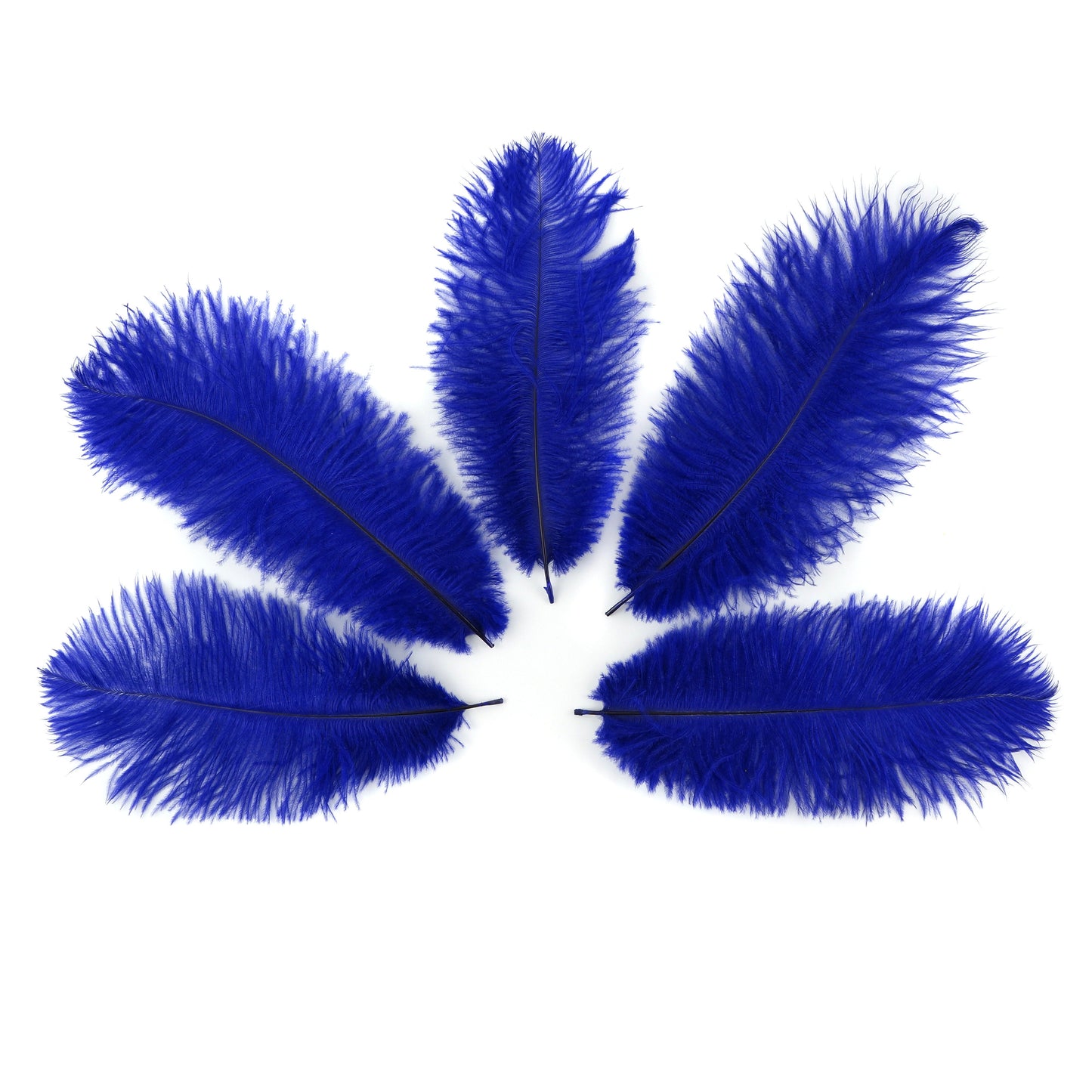 Ostrich Feathers 9-12" Drabs - Regal