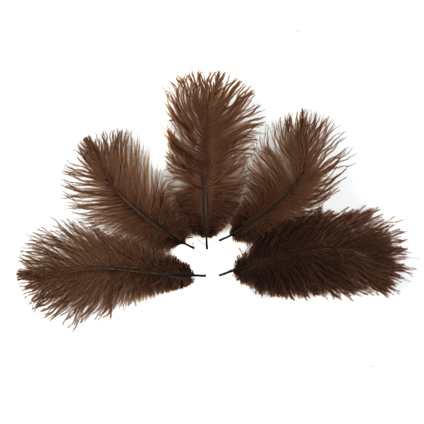Ostrich Feathers 9-12" Drabs -  Brown
