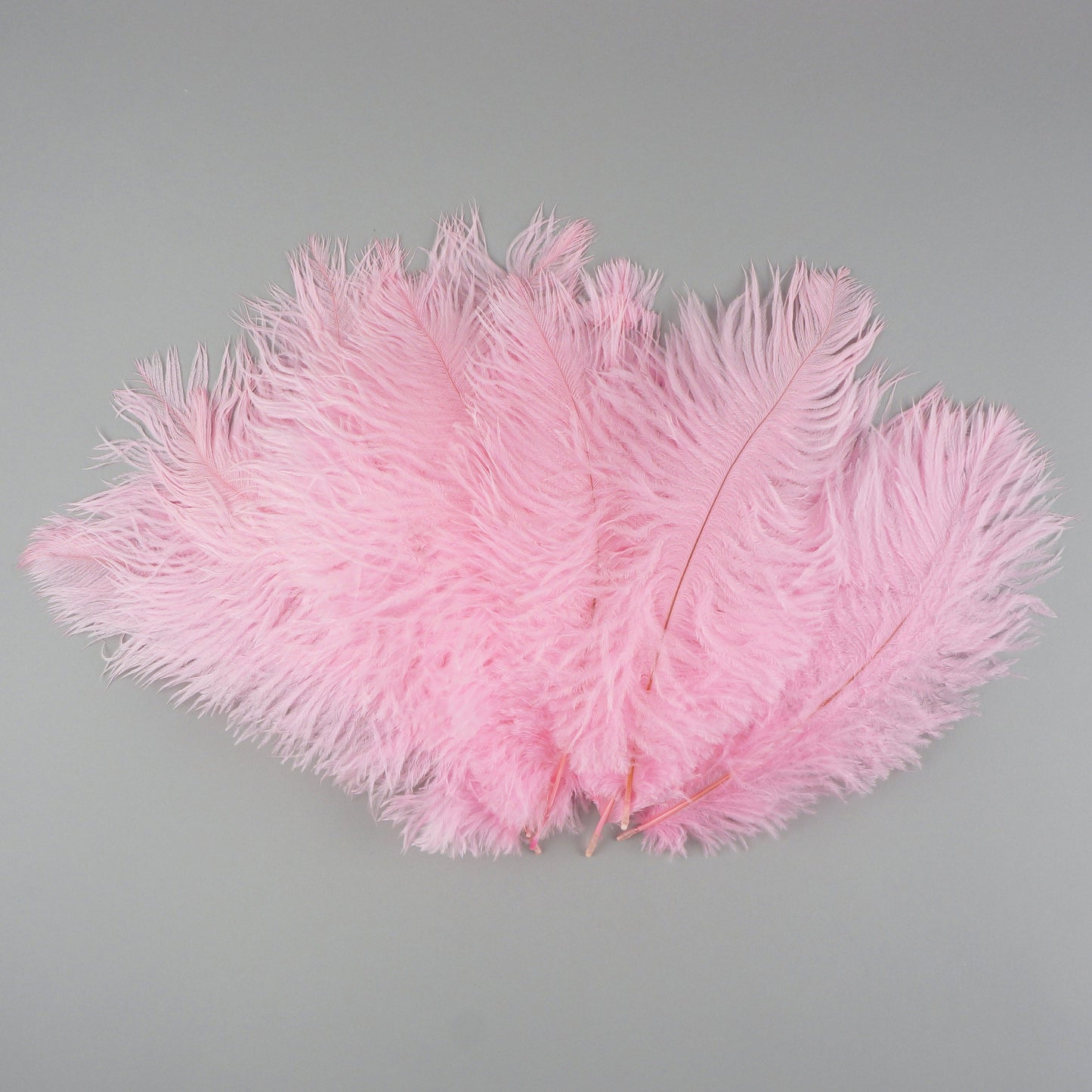 Ostrich Feathers 9-12" Drabs -  Candy Pink