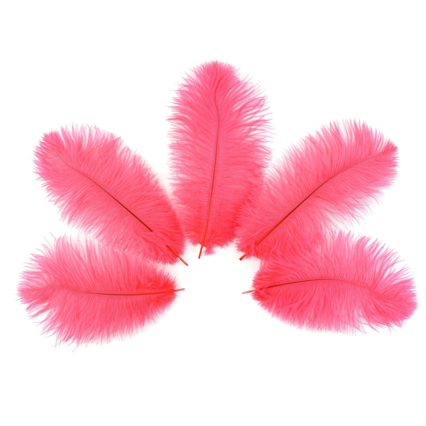 Ostrich Feathers 9-12" Drabs - Pink Orient