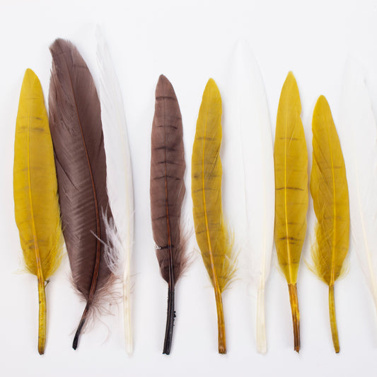brown yellow white duck feathers