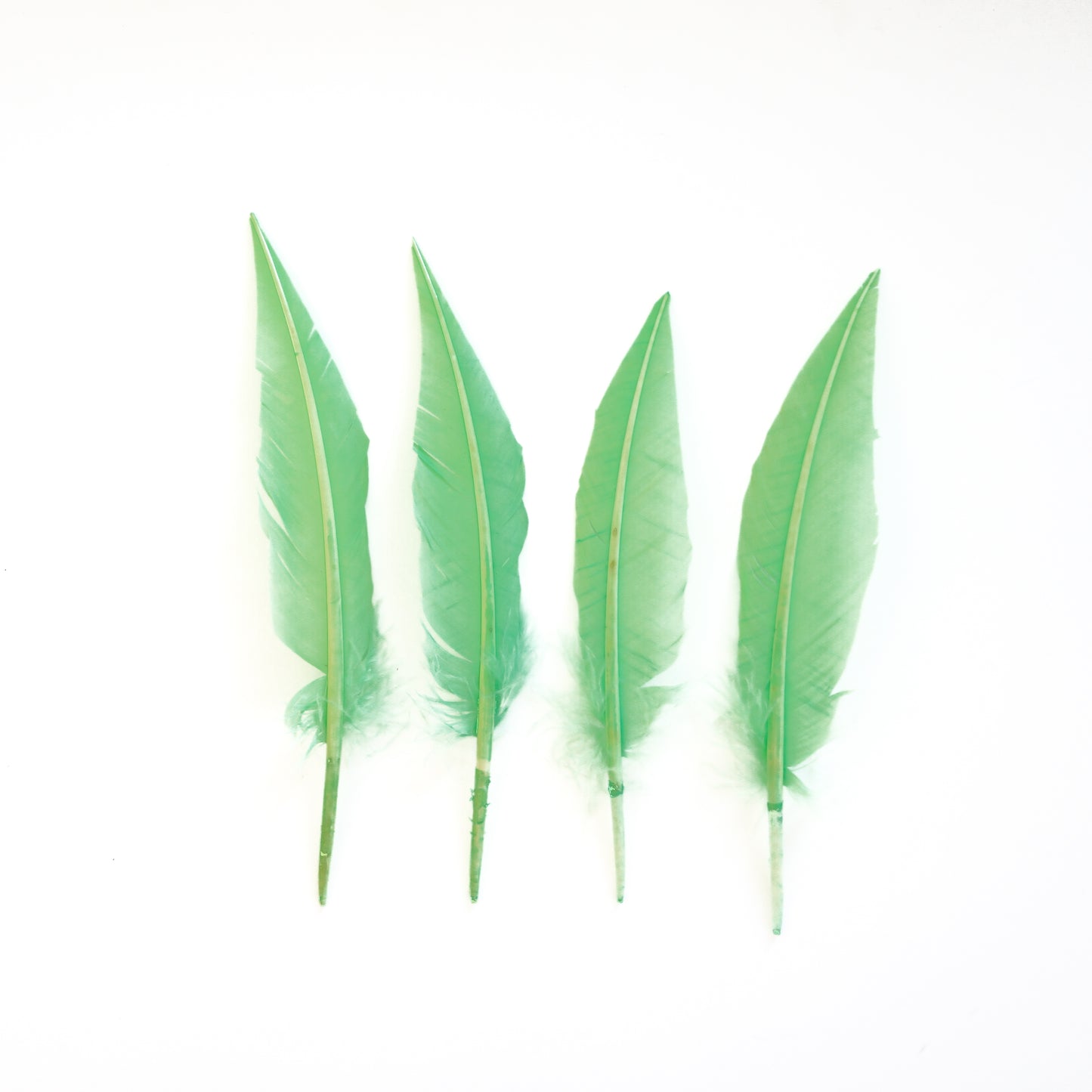 Fluorescent Lime Green Dagger Turkey Quill Feathers 9-12"