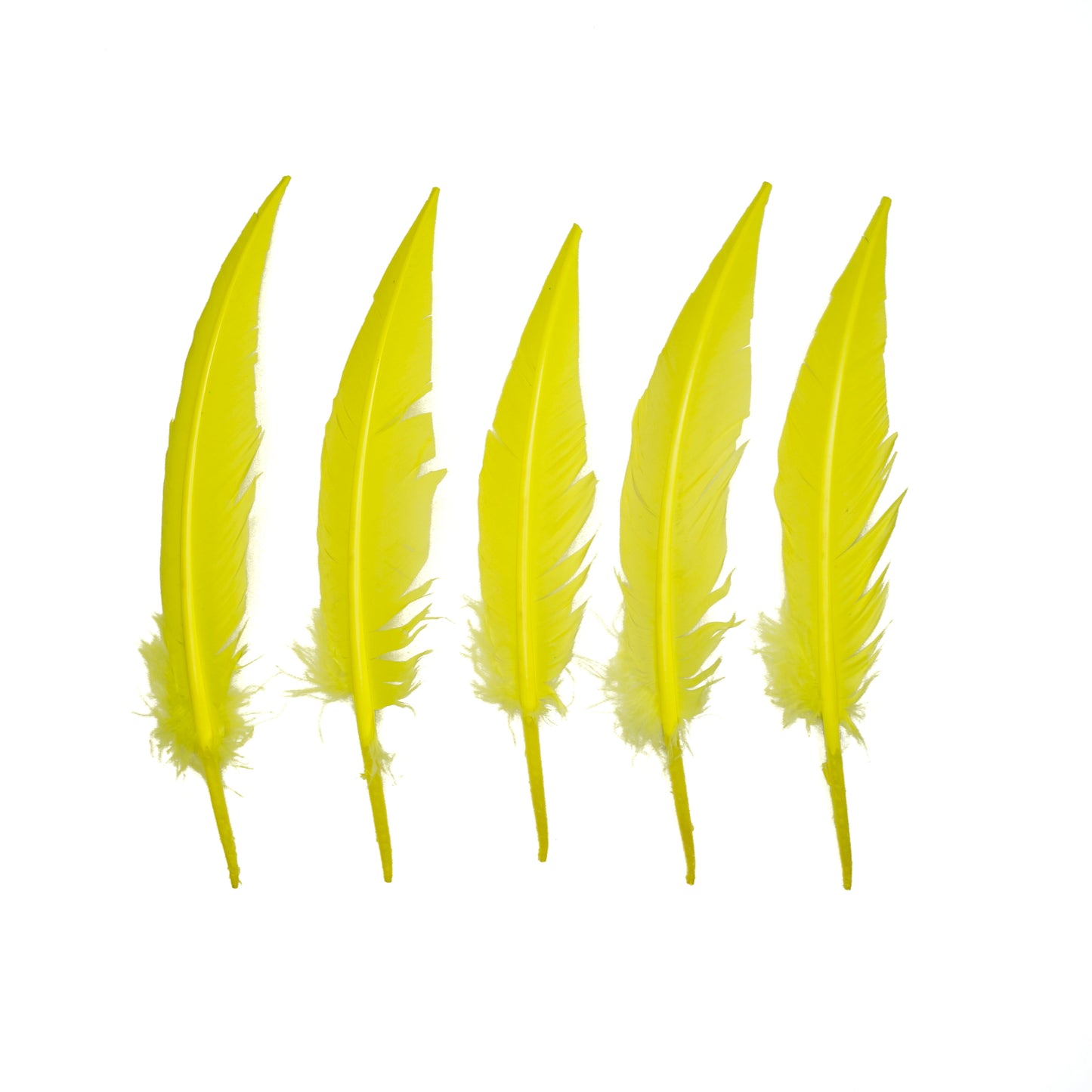 Fluorescent Yellow Dagger Turkey Quill Feathers 9-12"