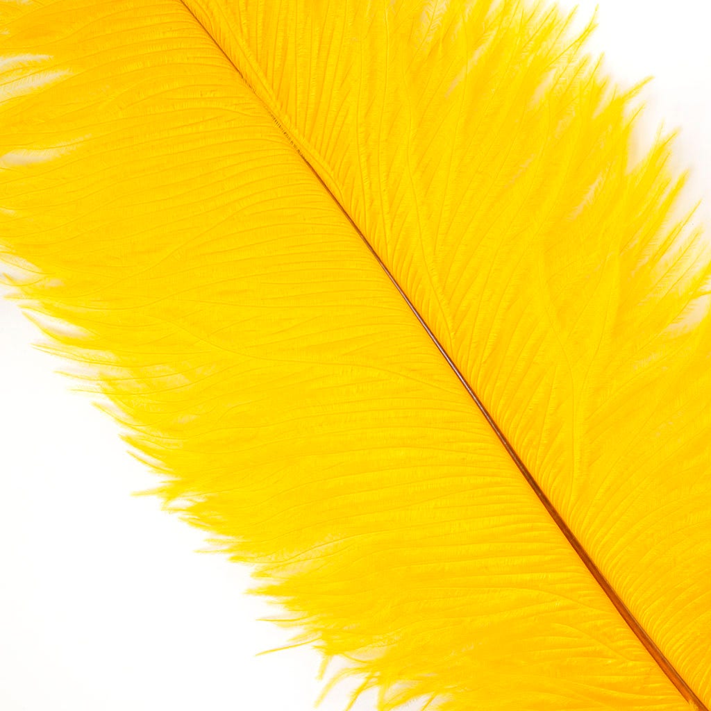 Large Ostrich Feathers - 17"+ Drabs - Gold