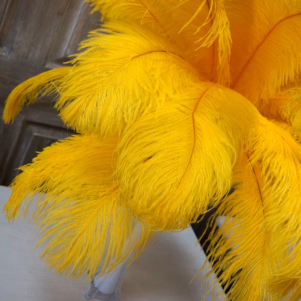 Large Ostrich Feathers - 17"+ Drabs - Gold
