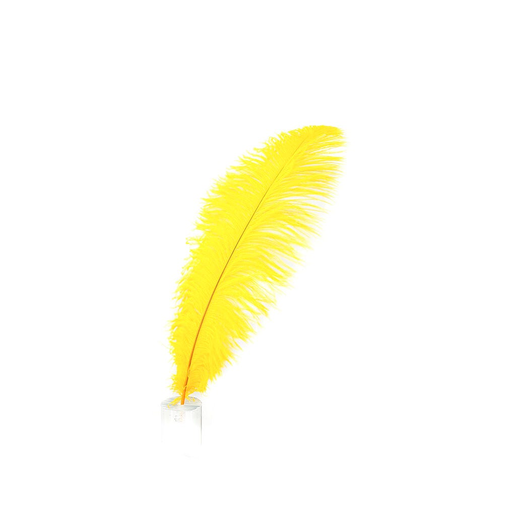 Large Ostrich Feathers - 17"+ Drabs - Gold