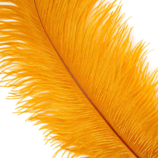 Large Ostrich Feathers - 17"+ Drabs - Marigold