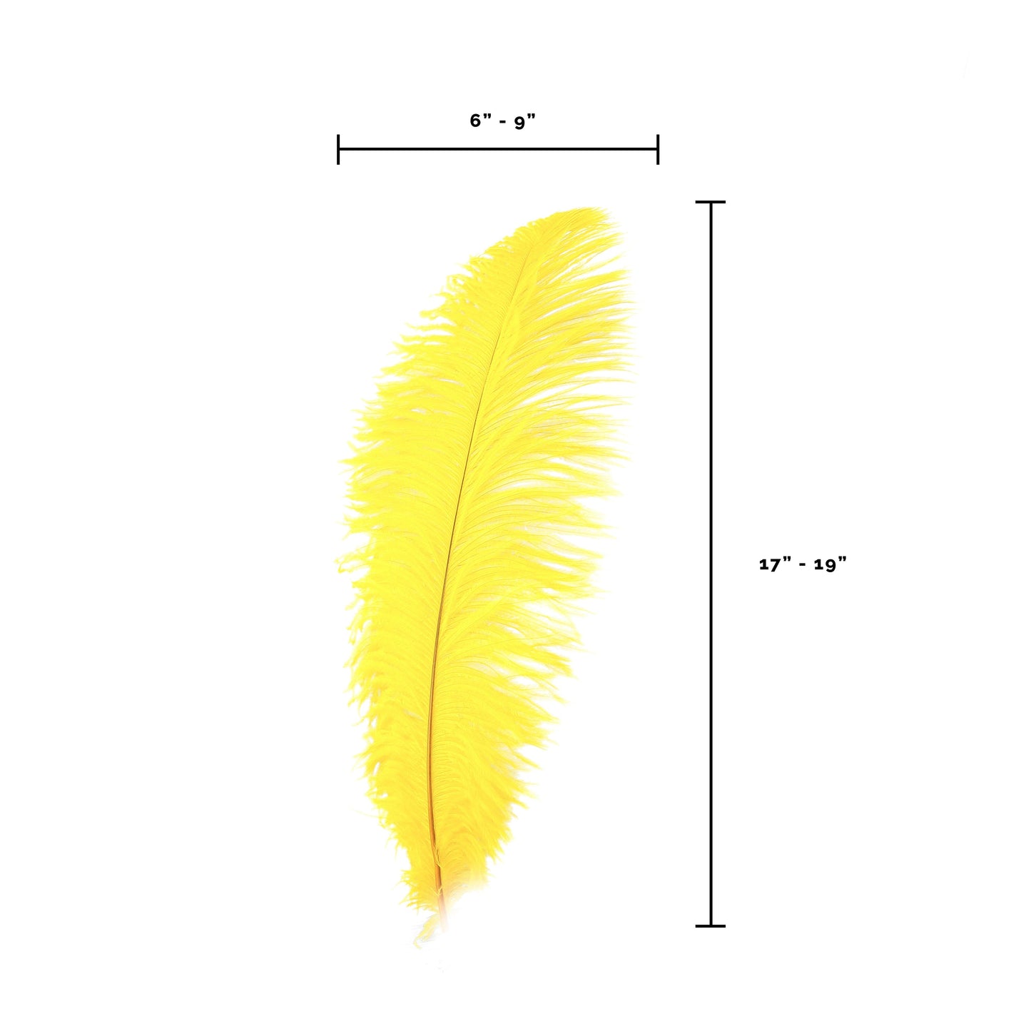 Large Ostrich Feathers - 17"+ Drabs - Gold