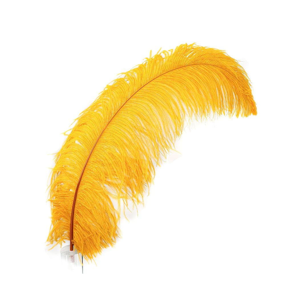 Large Ostrich Feathers - 24-30" Prime Femina Plumes - Marigold