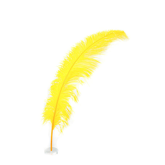 Large Ostrich Feathers - 18-24" Spads - Gold