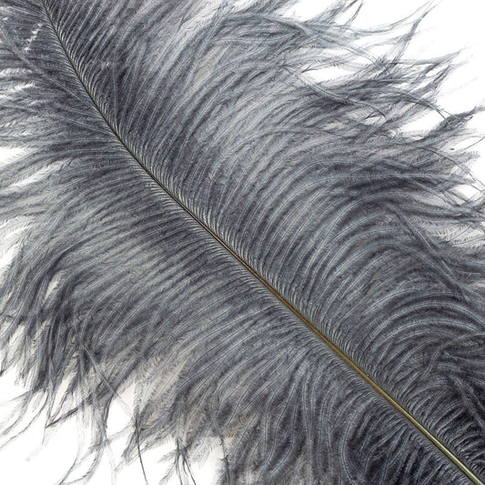 Large Ostrich Feathers - 17"+ Drabs - Gun Metal Grey