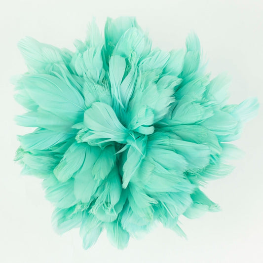 Goose Nagorie Dyed Feathers -Mint