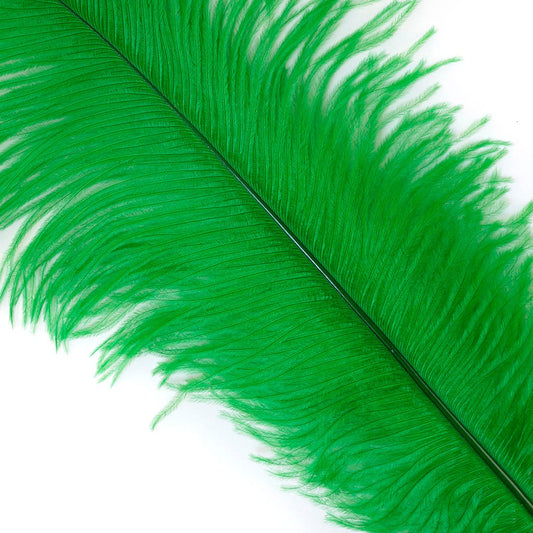 Large Ostrich Feathers - 17"+ Drabs - Kelly