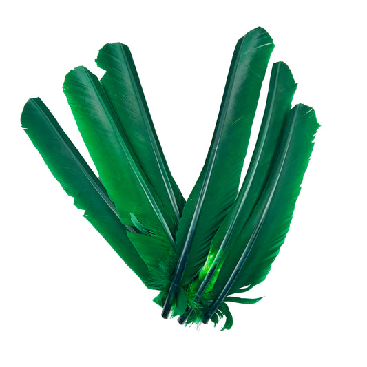 Kelly Green Cut Turkey Pointer Feathers 8-12"