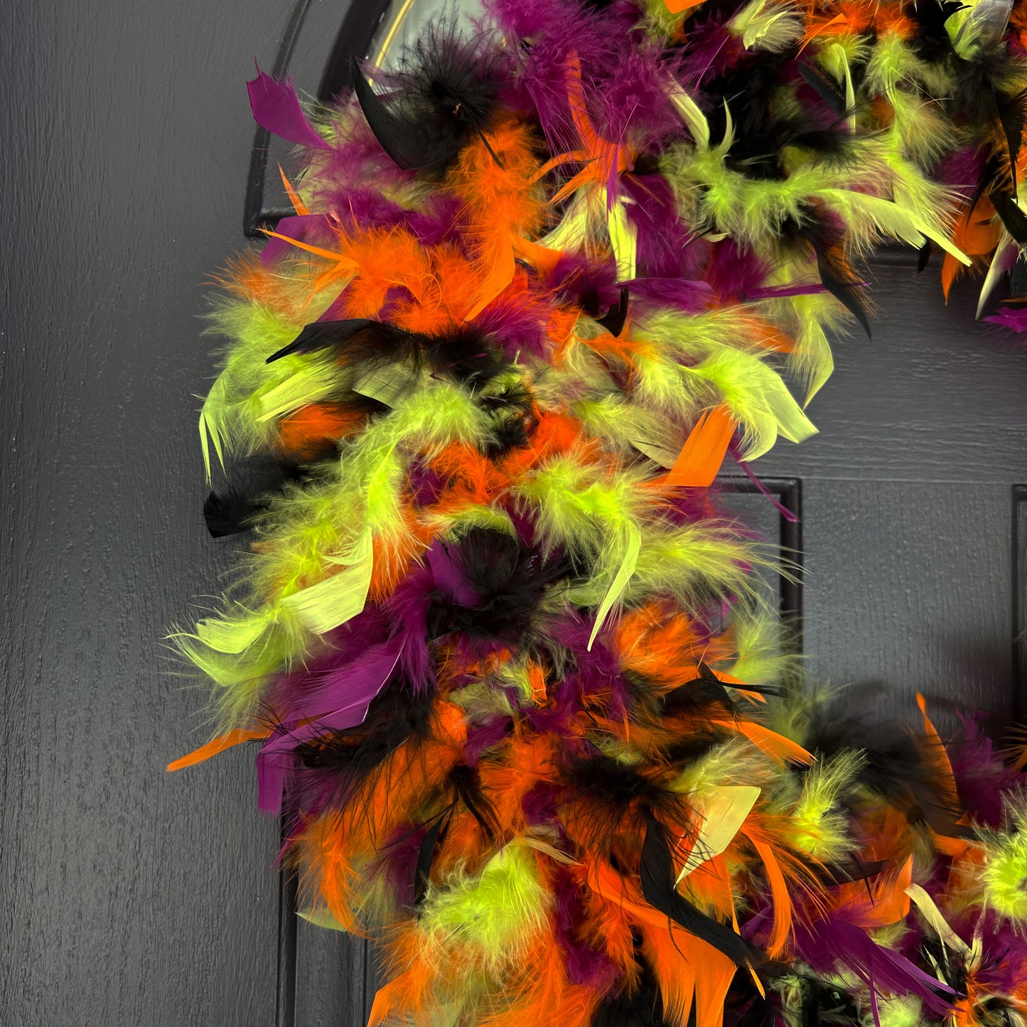 Feather Wreath-Black/Lime/Orange/Purple