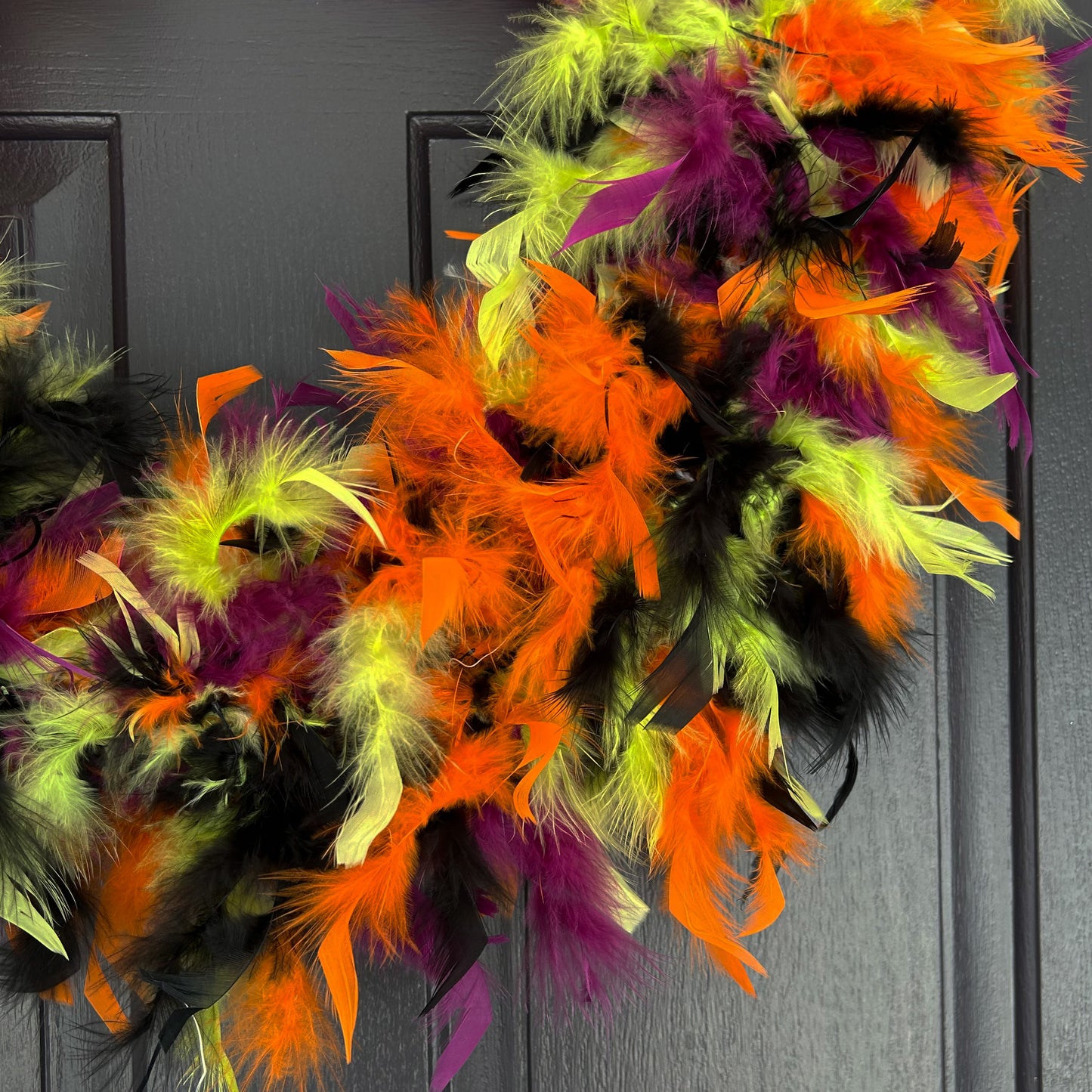 Feather Wreath-Black/Lime/Orange/Purple