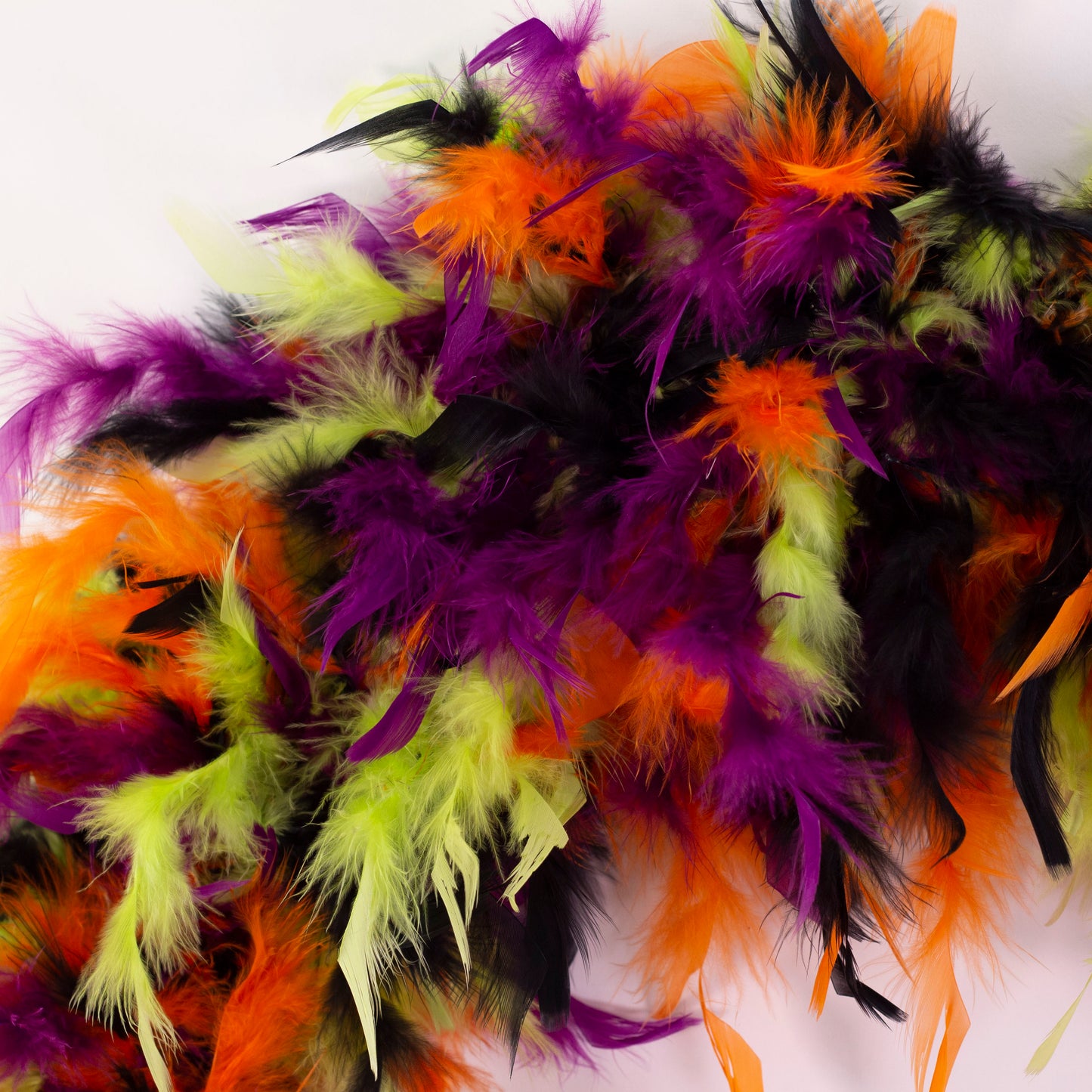 Feather Wreath-Black/Lime/Orange/Purple