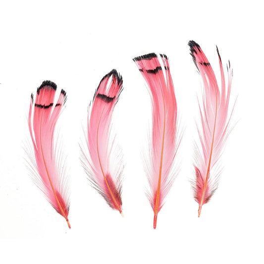 Pheasant Lady Amherst Crest Plumage 1-3.5" Coral