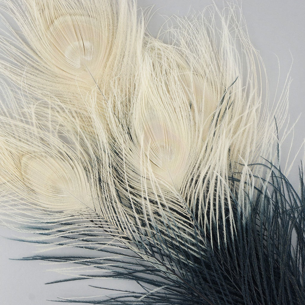 Peacock Eyes Bleached/Dyed & Tipped Feathers - 25-40 Inch - 10 PCS - Black - Ivory