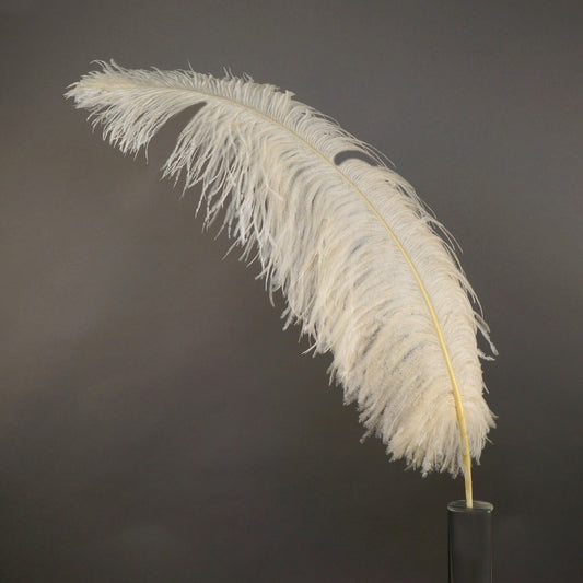 Bulk Ostrich Feathers-Damaged Femina - Ivory