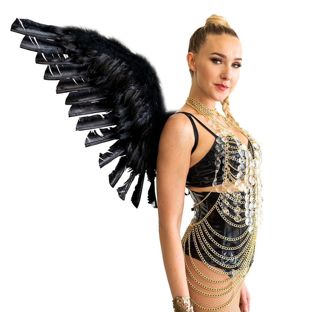 Large Black Angel Wings