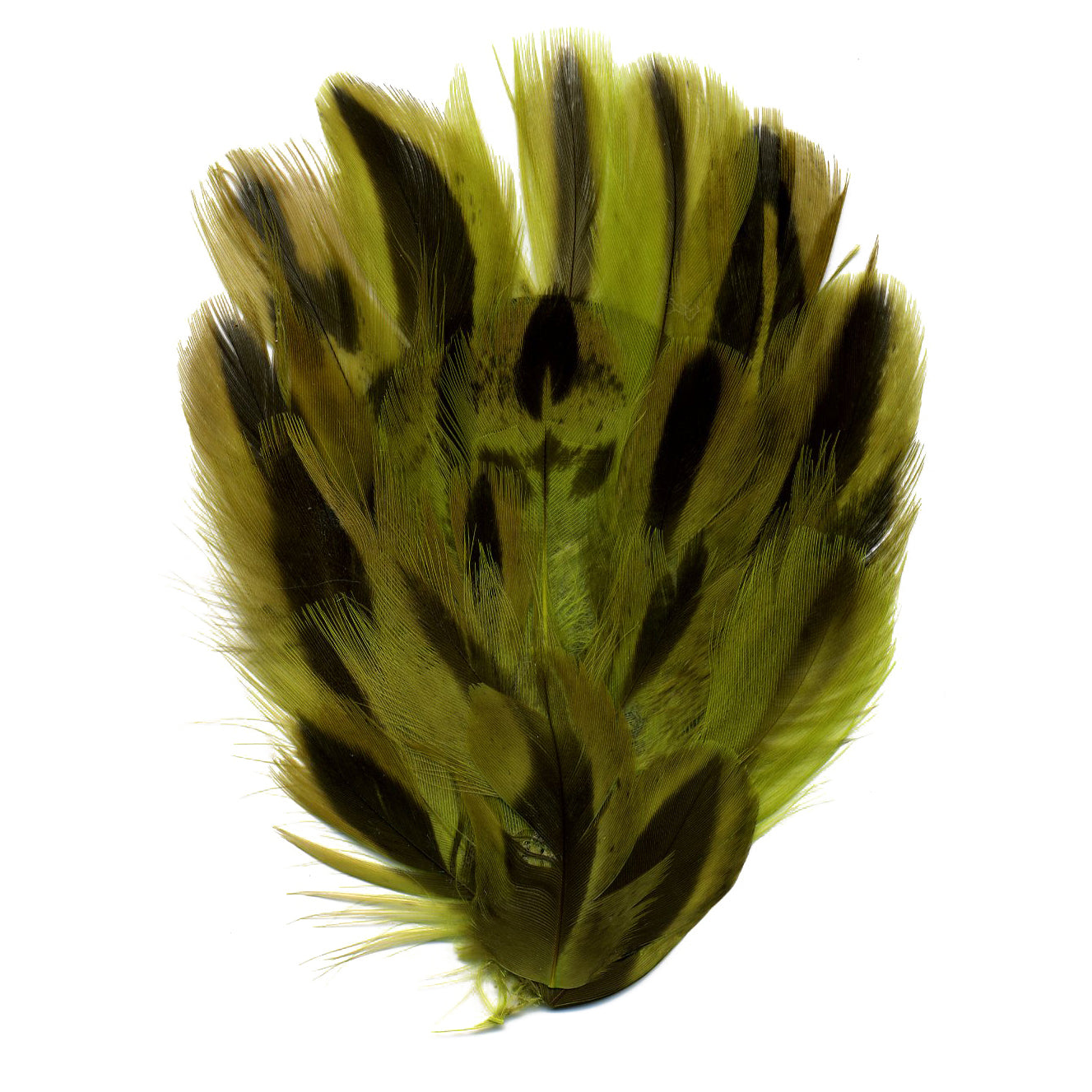 Duck Plumage Small Feather Pad - Lime