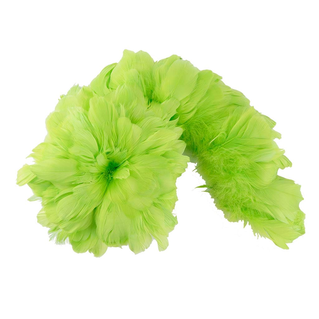Goose Coquille Feathers Dyed Lime