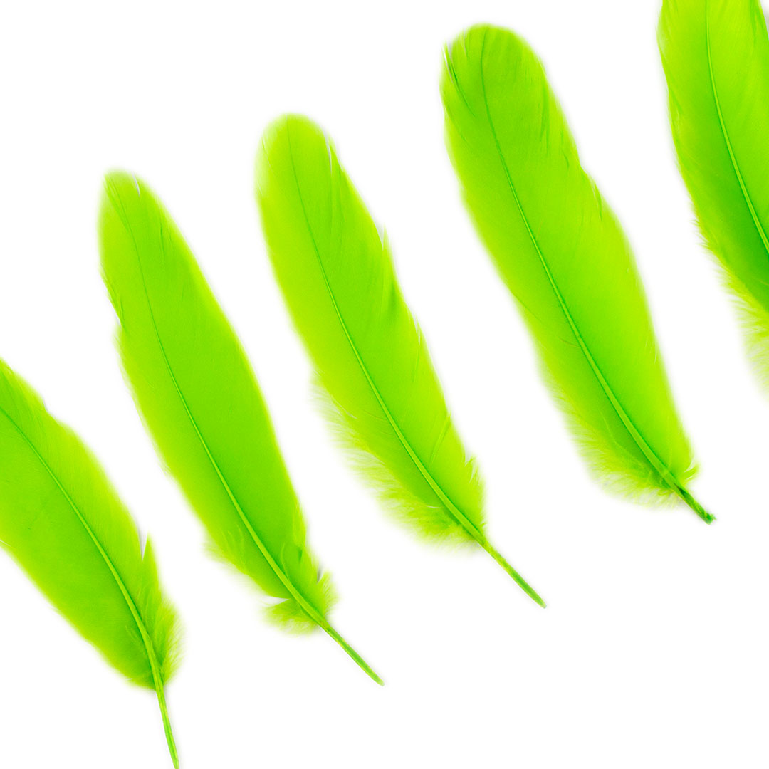 Goose Satinette Feathers Dyed - Lime - 1/4 lb