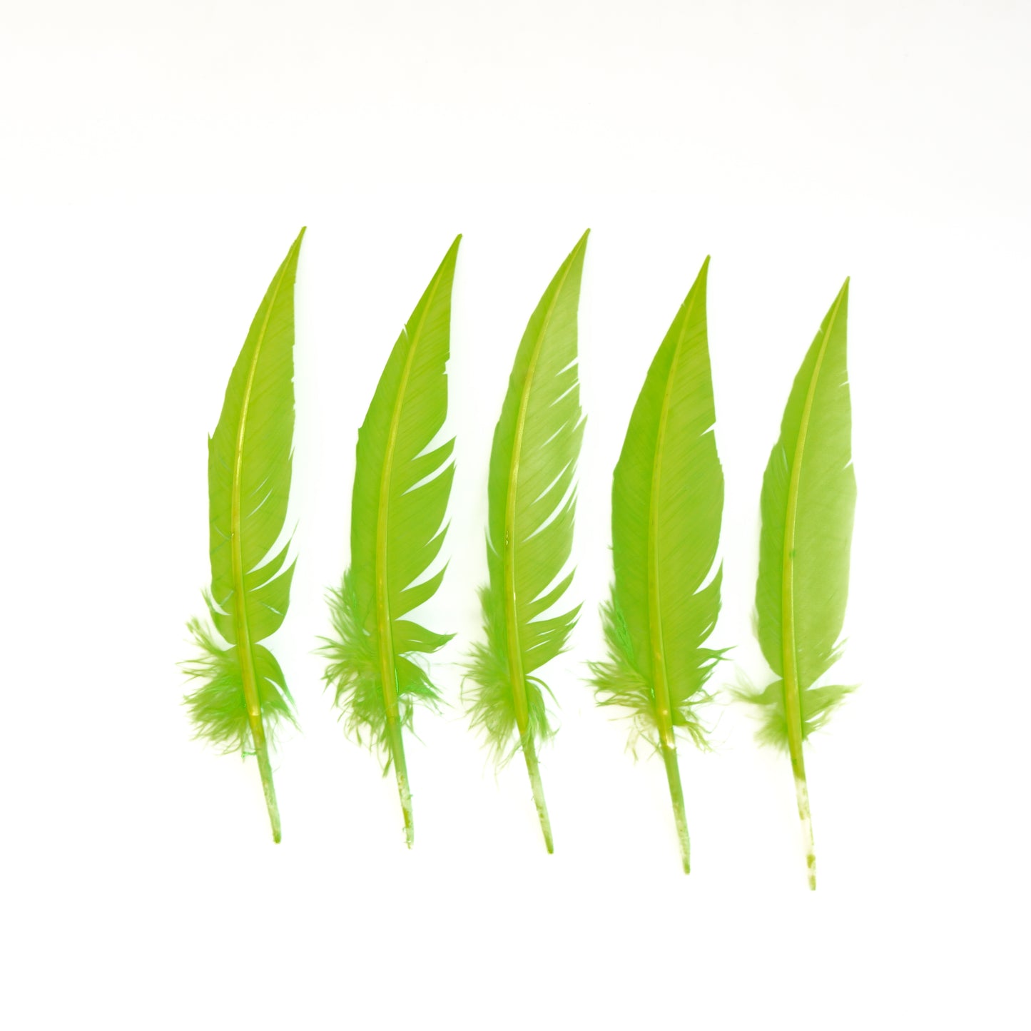 Lime Green Dagger Turkey Quill Feathers 9-12"