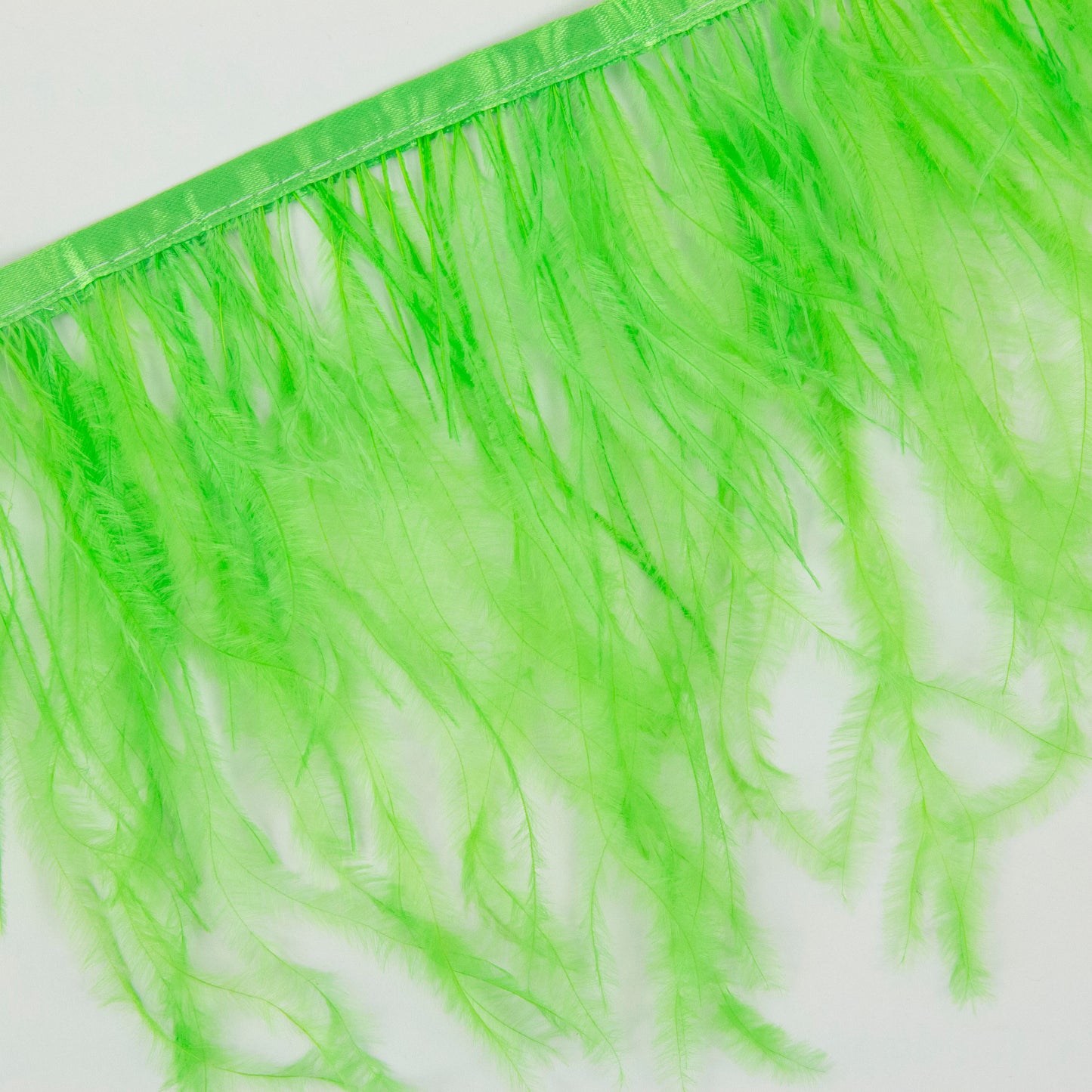 One-Ply Ostrich Feather Fringe - 1 Yard - Lime Green