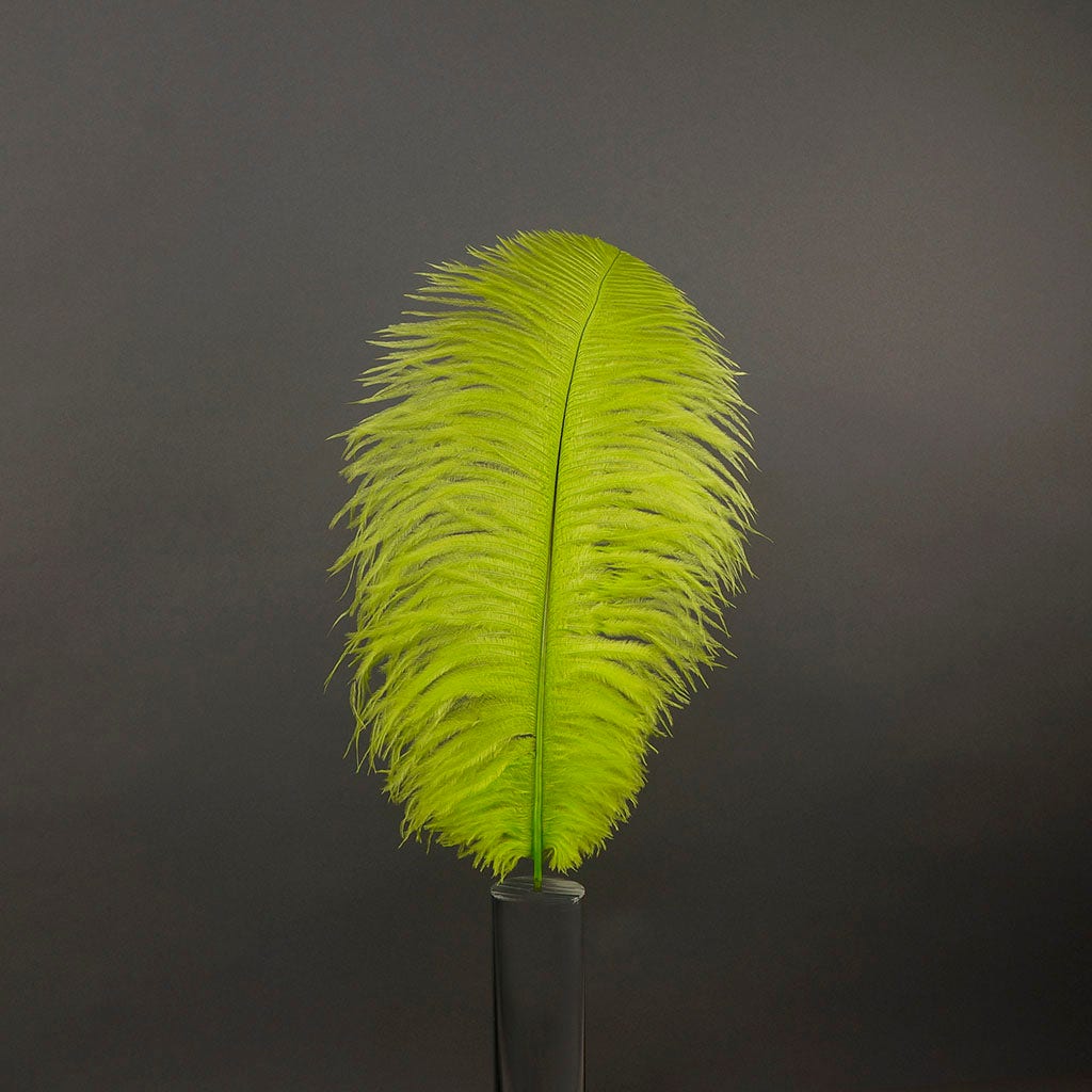 Large Ostrich Feathers - 17"+ Drabs - Lime