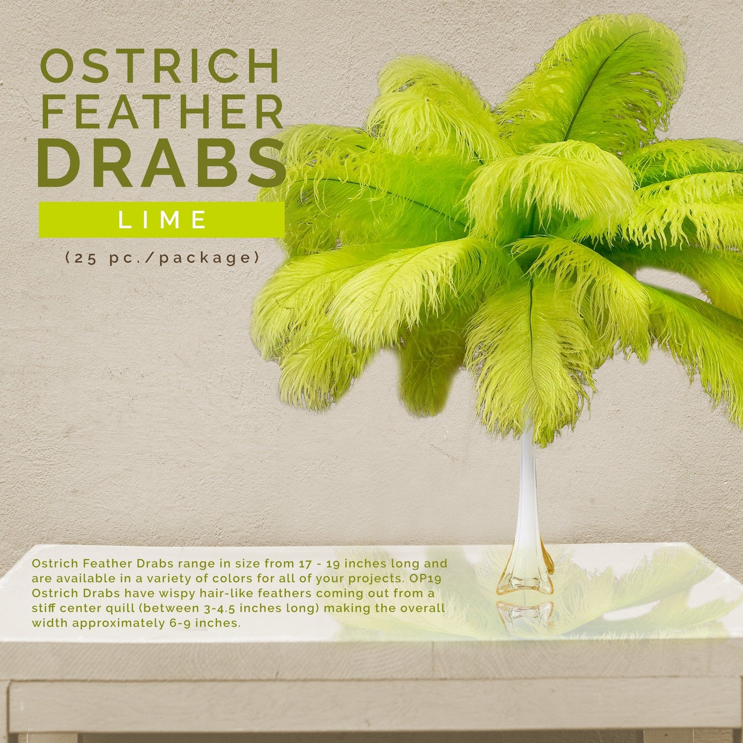 Large Ostrich Feathers - 17"+ Drabs - Lime