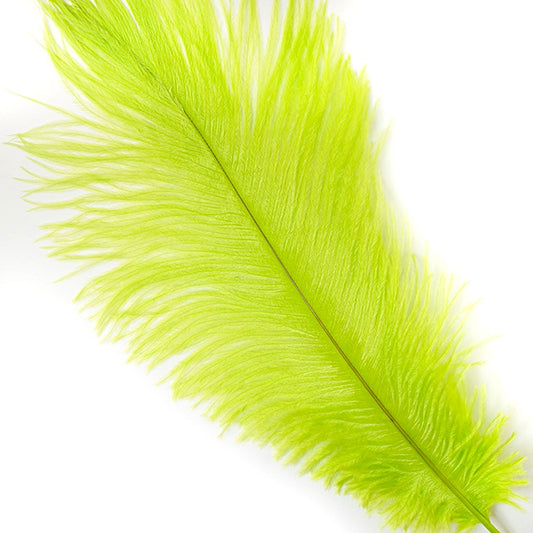Ostrich Feathers 9-12" Drabs - Lime