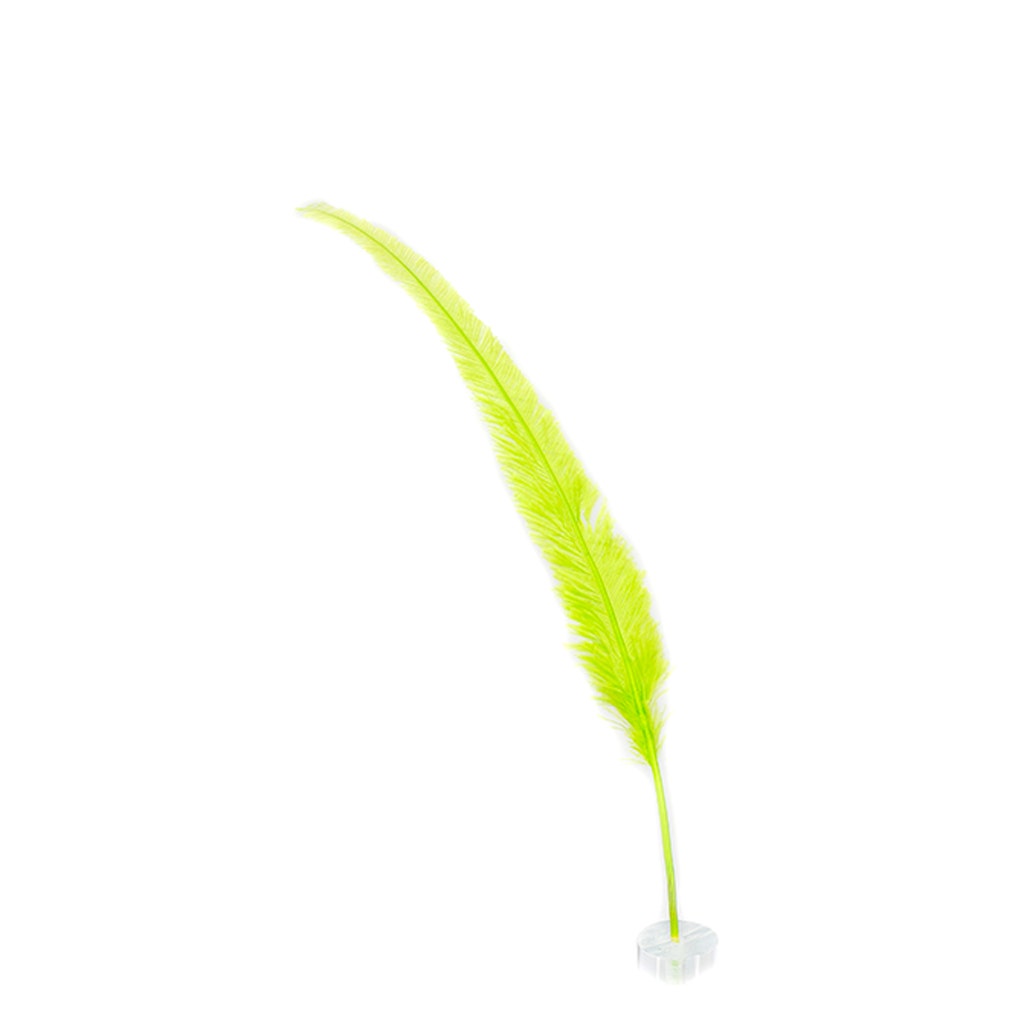 Ostrich Feathers - 13-24" Nandus - Lime