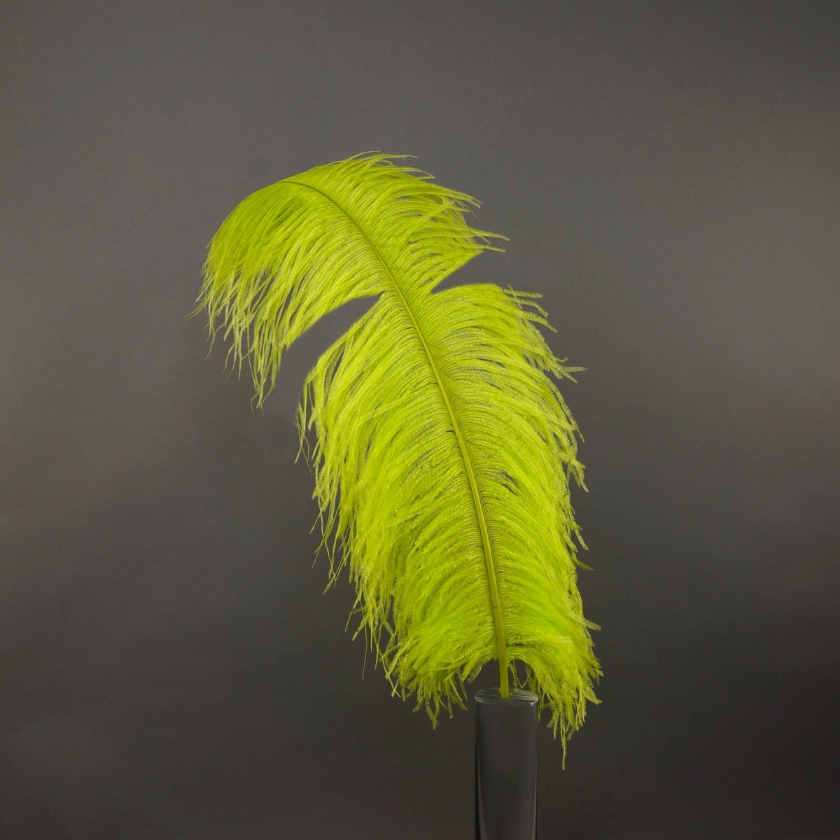 Bulk Ostrich Feathers-Damaged Femina - Lime