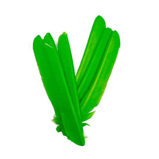 Lime Green Cut Turkey Pointer Feathers 8-12"