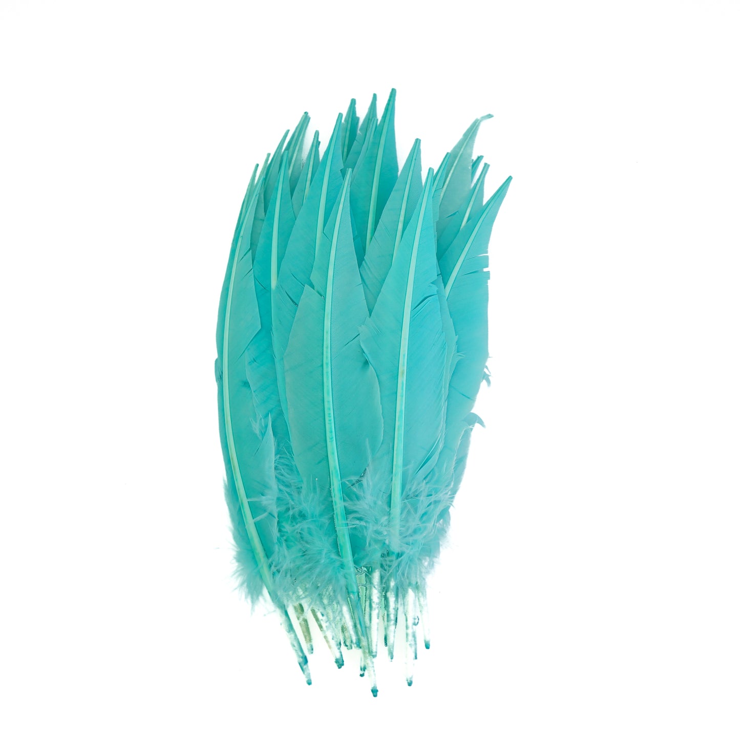 Mint Green Dagger Turkey Quill Feathers 9-12"