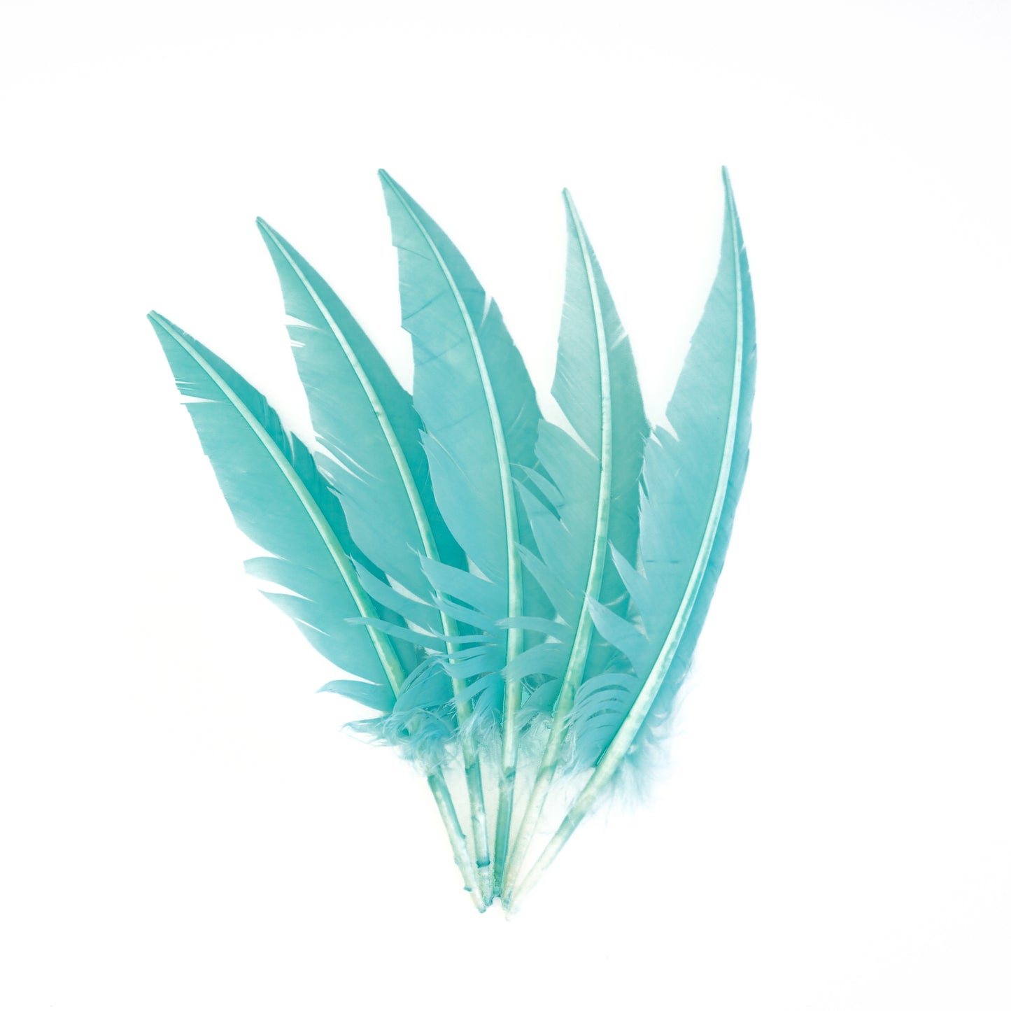 Mint Green Dagger Turkey Quill Feathers 9-12"