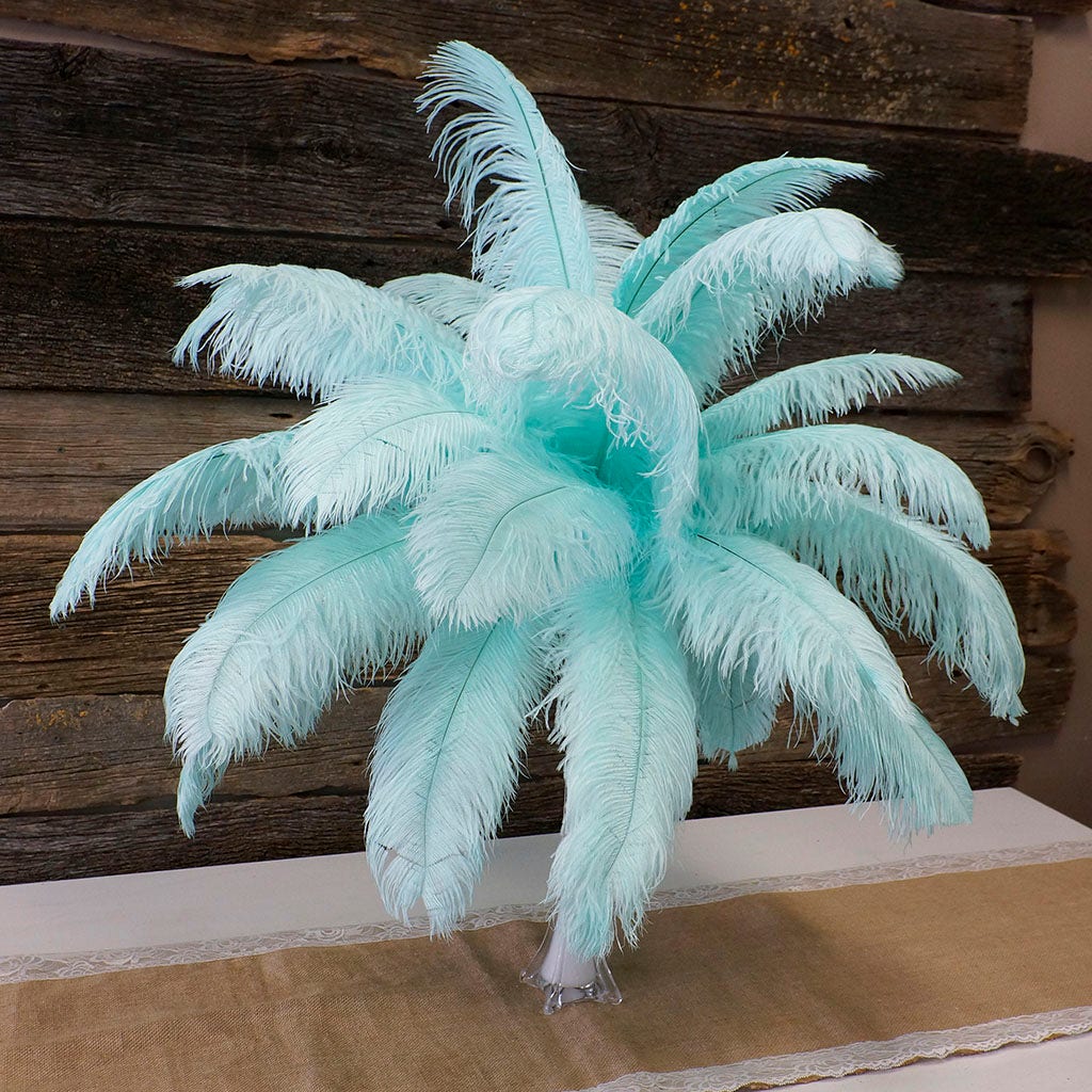 Large Ostrich Feathers - 17"+ Drabs - Mint – Featherplace.com By Zucker ...