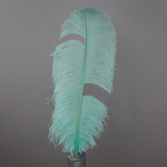 Bulk Ostrich Feathers-Damaged Drabs - Mint