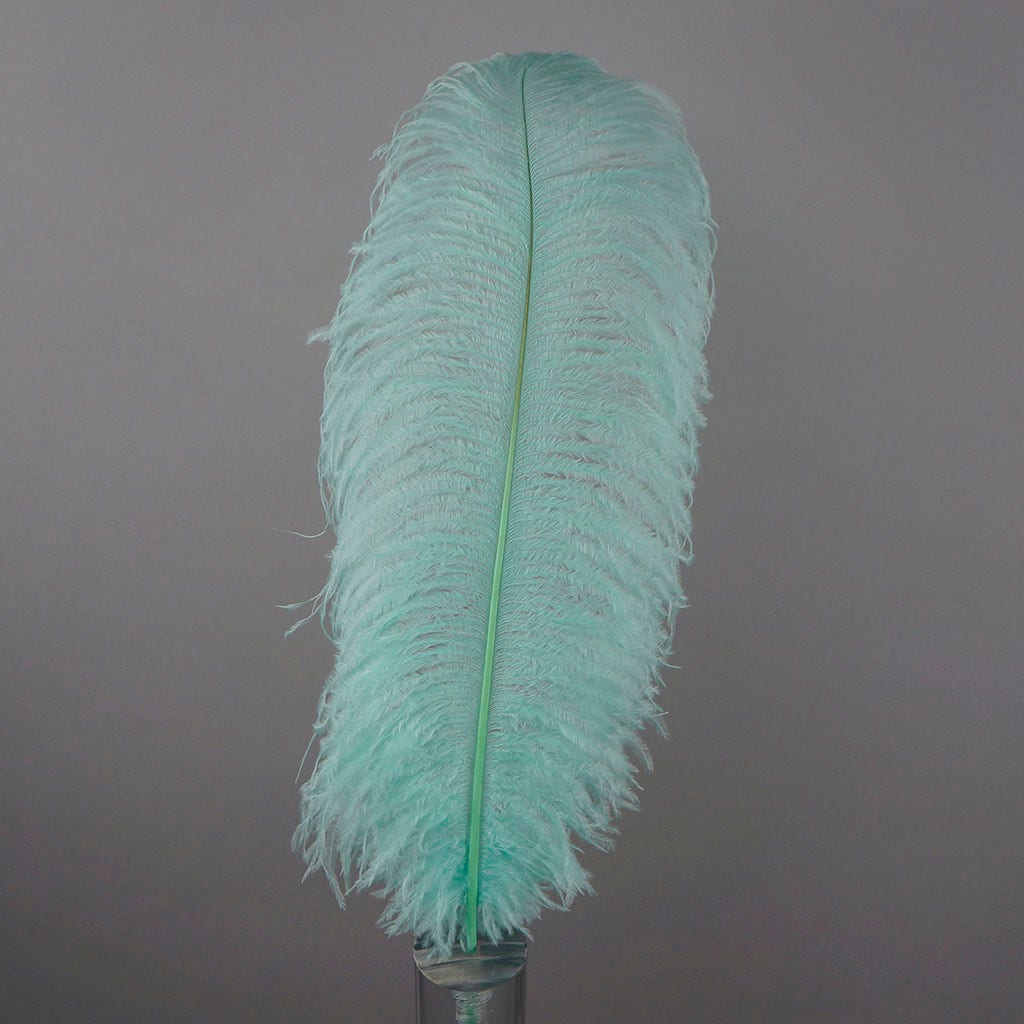 Large Ostrich Feathers - 17"+ Drabs - Mint – Featherplace.com By Zucker ...